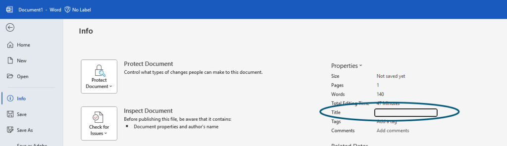 Screenshot showing that under "Info" you would enter the document title in Word